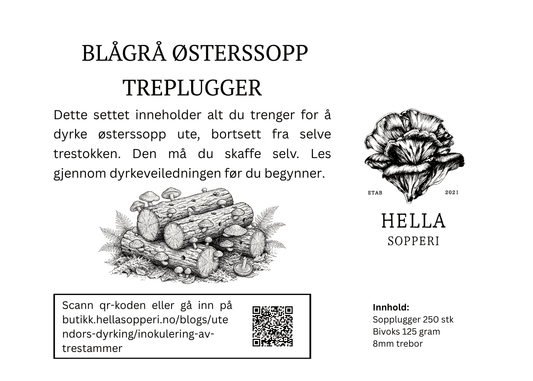 Sett med sopplugger, Blågrå østerssopp - Hella Sopperi