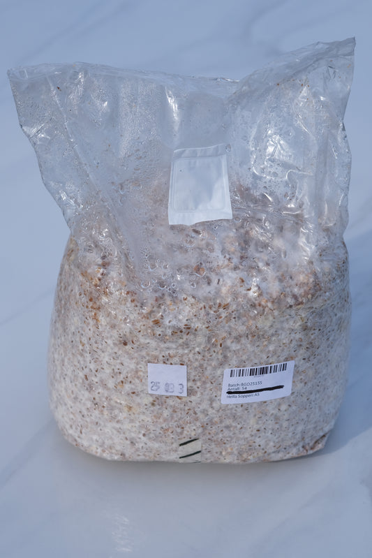 Soppgyte 4 kg