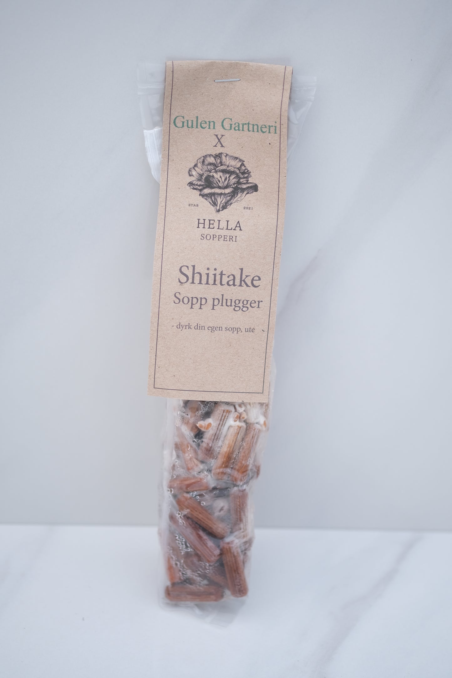 Shiitake, 75 plugger