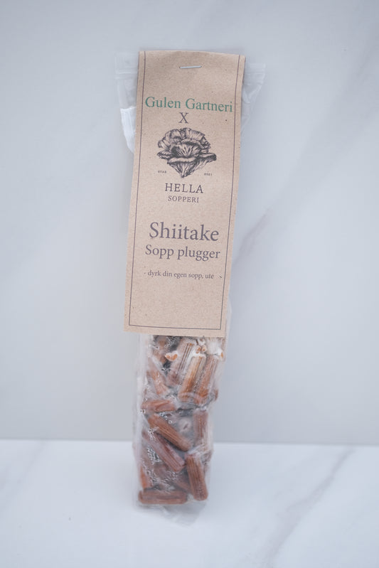 Shiitake, 75 plugger
