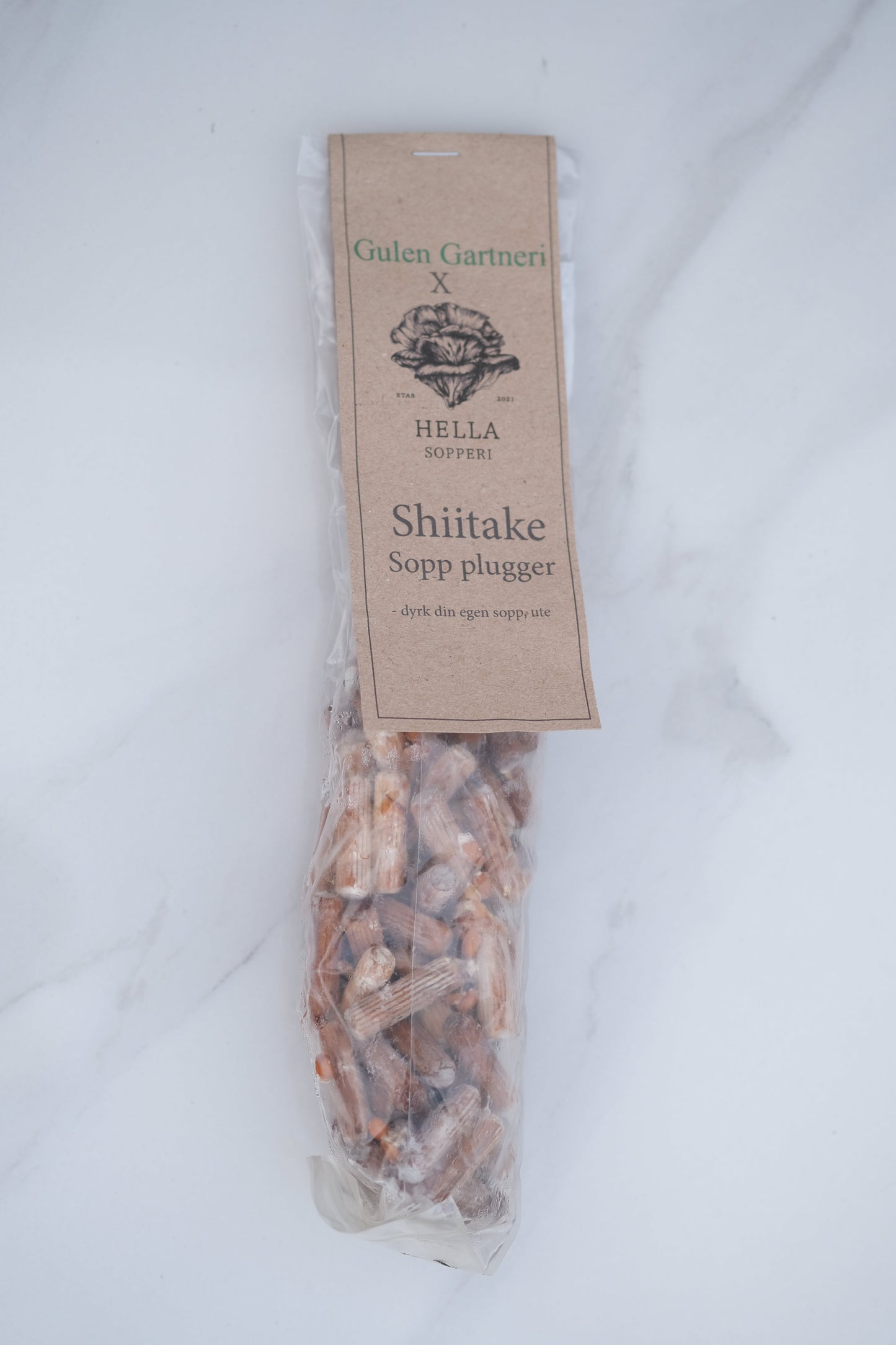Shiitake, 75 plugger