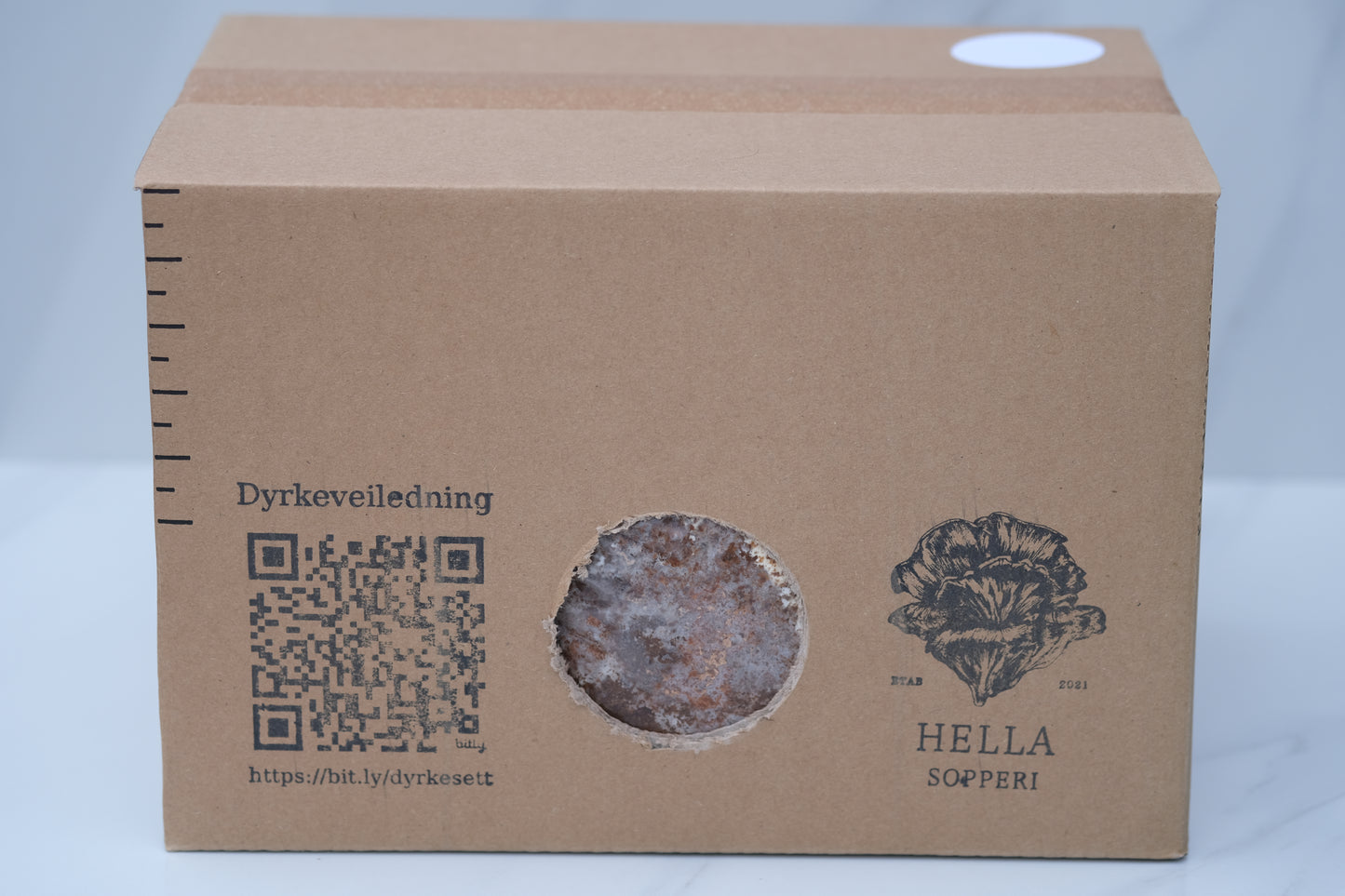Piggsvinsopp (Lions mane) - dyrkesett