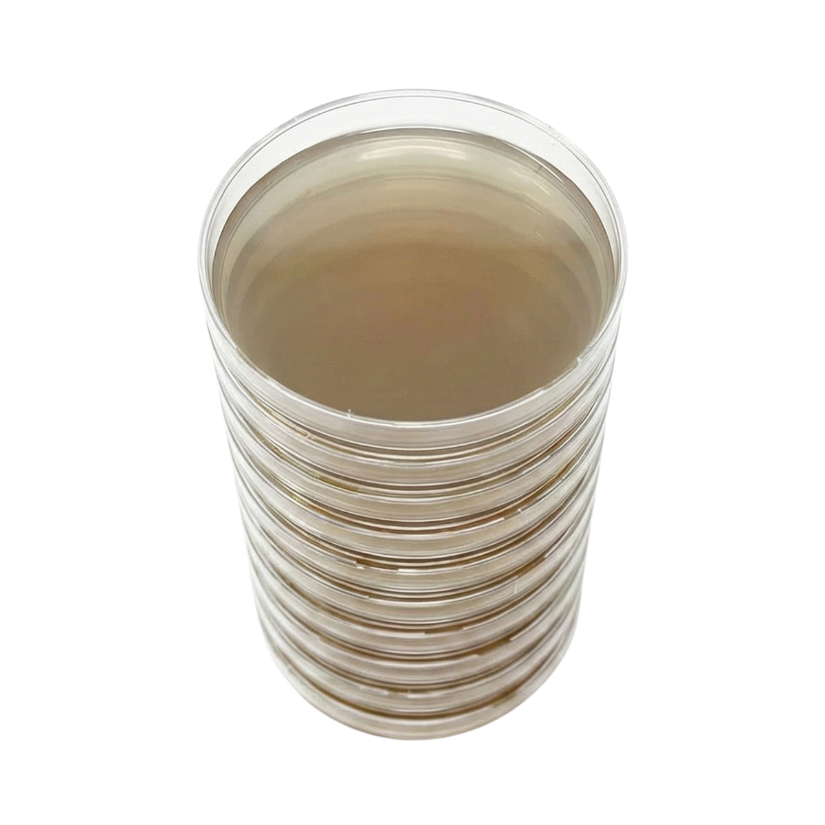 MEA, 10 petri-skåler