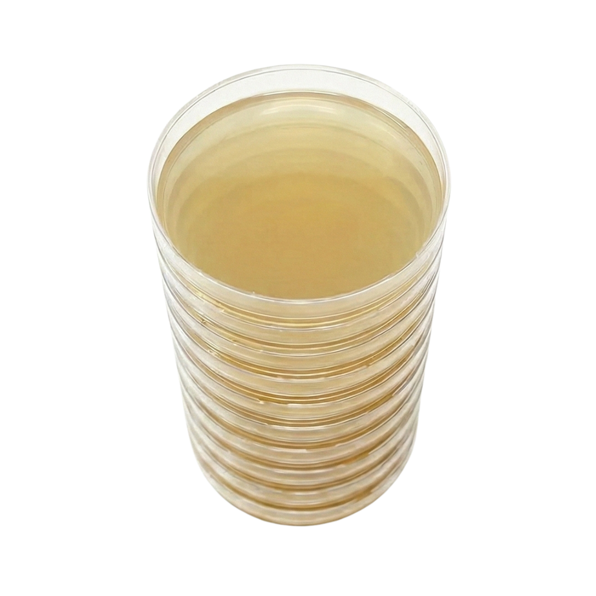 SAB, 10 petri-skåler