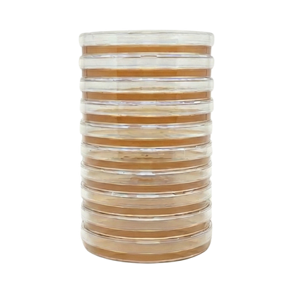 TSA, 10 petri-skåler