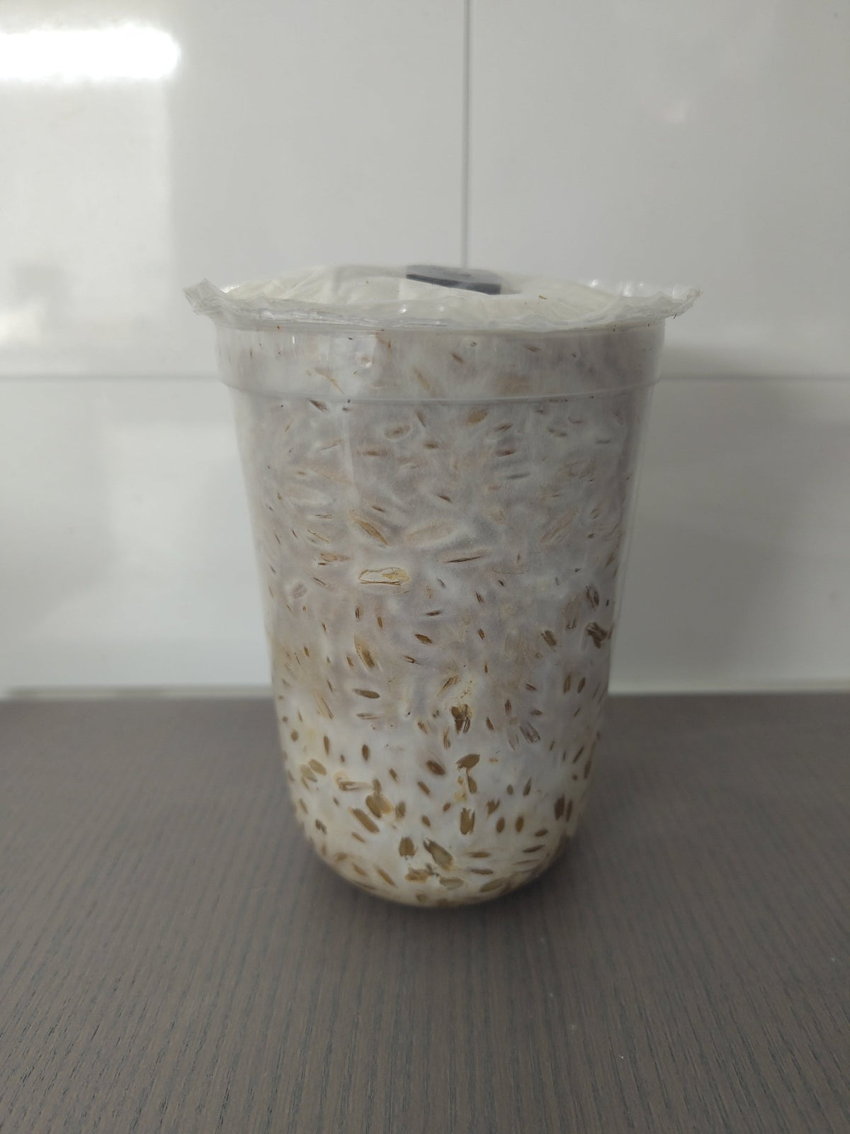 Mini-pakke med grain spawn - 300g - Hella Sopperi