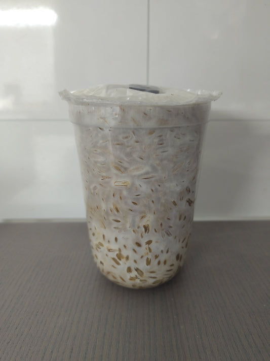 Mini-pakke med grain spawn - 300g - Hella Sopperi
