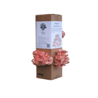 Rosa østerssopp - XL dyrkesett - Hella Sopperi