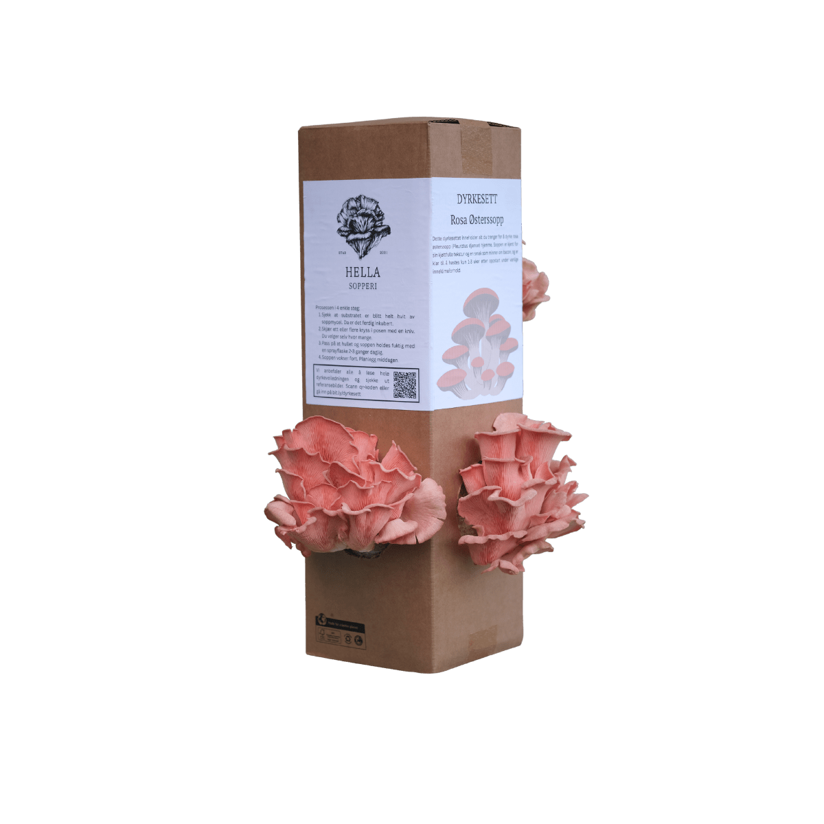 Rosa østerssopp - XL dyrkesett - Hella Sopperi