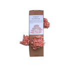 Rosa østerssopp - XL dyrkesett - Hella Sopperi