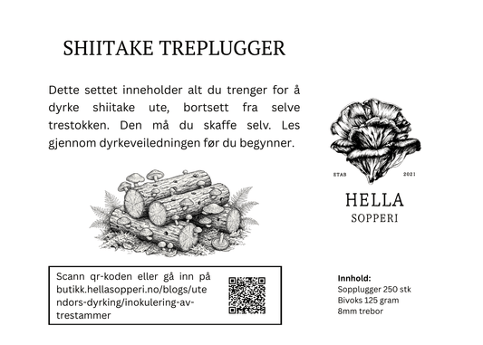 Sett med sopplugger, Shiitake - Hella Sopperi