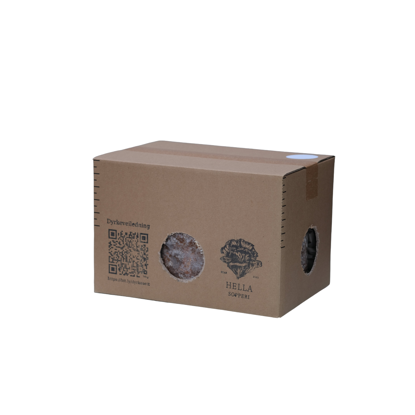 Piggsvinsopp (Lions mane) - dyrkesett